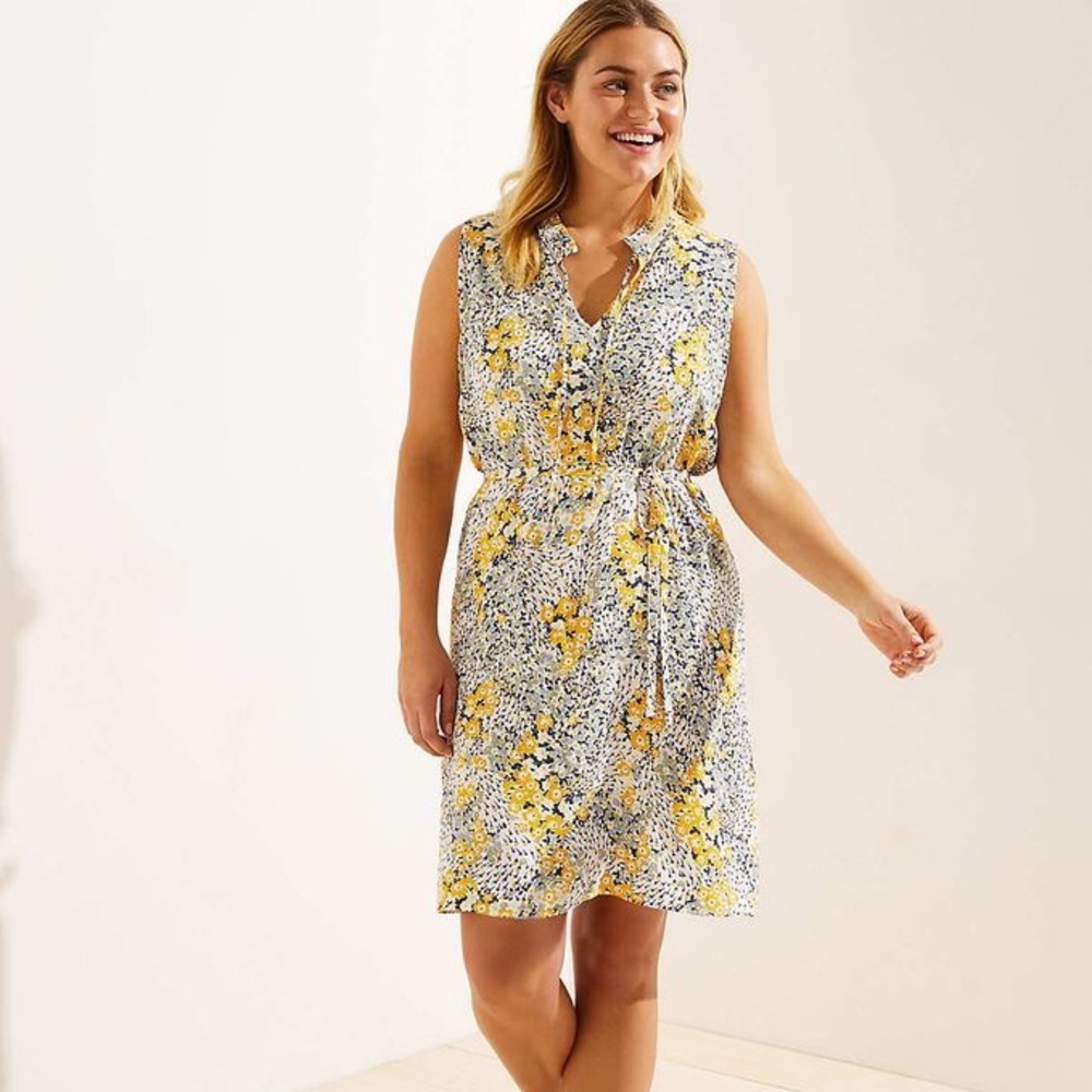 LOFT Garden Tie Neck Swing Dress